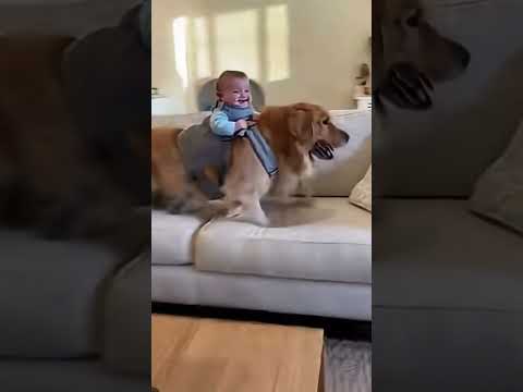 He’s having the ride of his life! 😂