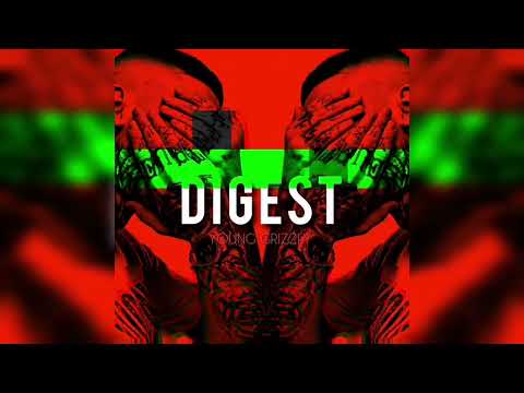 Type Beat Drake, Bumble Beezy, Migos "Digest" // Prod. Young Grizzly