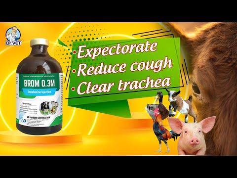 BROM 0.3M | Solution to expectorate, reduce cough, clear trachea | Dr.Vet
