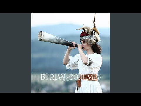 Ó, hřebíčku zahradnický