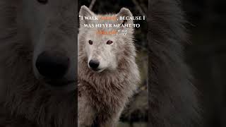 Download lagu 3 BINATANG PUTIH 🐅🐺🐻‍❄️ | KEKUATAN DIAM, SIKAP MEMATIKAN 🔥 | #shorts #motivasi #viral #youtubeshorts mp3