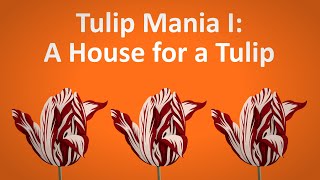 How a single tulip was worth more than a villa │Tulip mania I