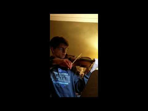Revived Antique Unlabeled French Strad Copy 4/4 Violin Vintage 1920's Fiddle w/ New Brazilwood Bow and Composite Case image 15