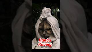 Download lagu Hantu Kucing #hantu #horrorstories #mystery #ghost mp3