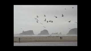 notes to myself - cloud shade