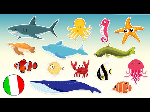 Animali Marini 🐬🐠  | Video per bambini con i suoni reali degli animali!