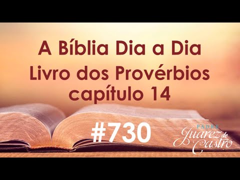 Curso Bíblico 730 - Livro dos Provérbios 14 - Primeira Coletânea Salomônica - Padre Juarez de Castro
