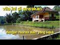 Pemandangan Sawah Di Desa Cihanjawar