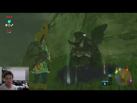 How to duplicate hearts and stamina, Zelda BOTW