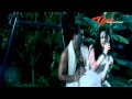 Swamy Satyananda Movie Aa Kamude Murisipoyela Song Trailer