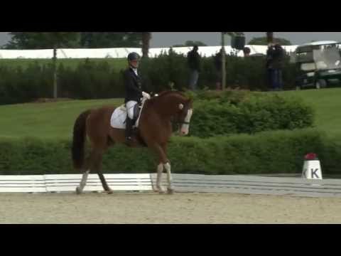 Bonhomme 2015 Prf23 02 Bettina Sonntag   Quelle Couleur