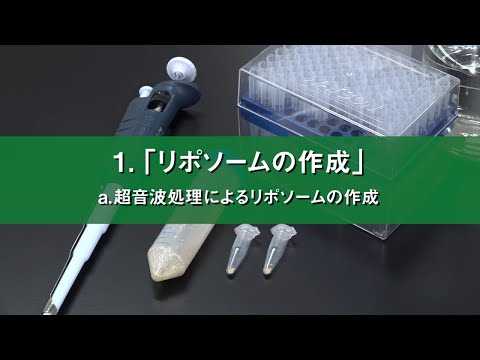 無細胞系を利用した膜タンパク質の合成