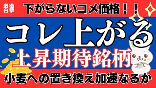 この銘柄が来る！上昇期待銘柄！　#株主優待 　#投資初心者　#新nisa