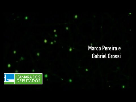 Talentos Brasil: Marco Pereira (violonista) e Gabriel Grossi (gaitista) [2006]