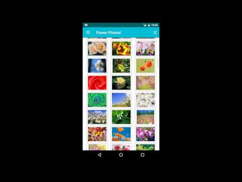 Flower Photos! Video