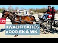 Internationale menwedstrijd & gebarendominee een groot succes | Drenthe Nu