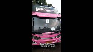 Download lagu SUDIRO TUNGGA JAYA BAVIKHA BUS PINGKY !!#shorts mp3