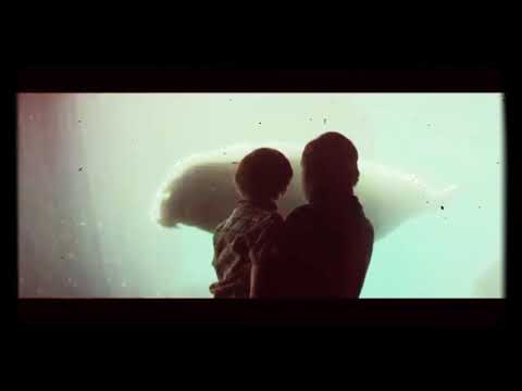 One Day Of Our Lives by Gabriel França C.S (Video)