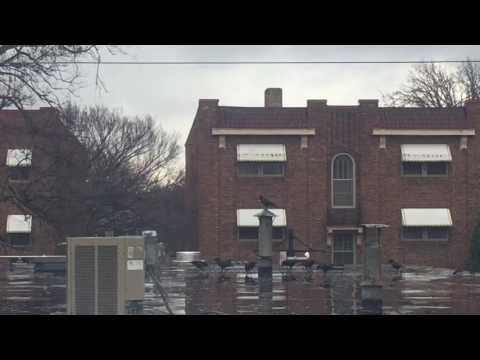 cumbia Anthem , El Dusty (Happy Colors) rebajada by RAM$ES