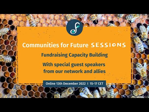 Fundraising Capacity Building