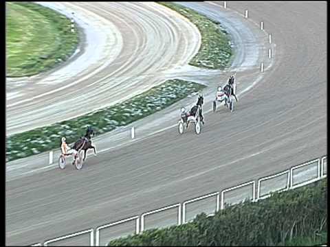 Trotto 13/03/2016 - prova di qualifica