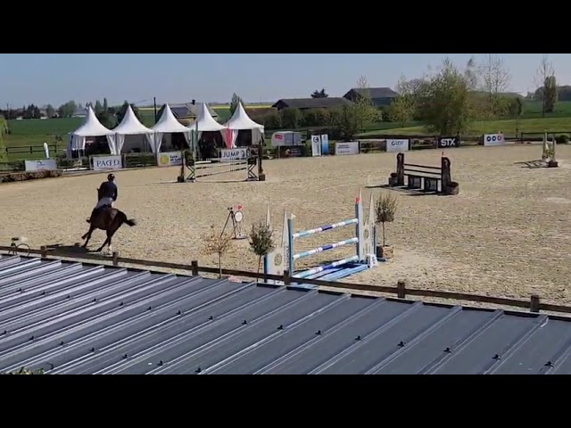 Excellent cheval très concours 130 