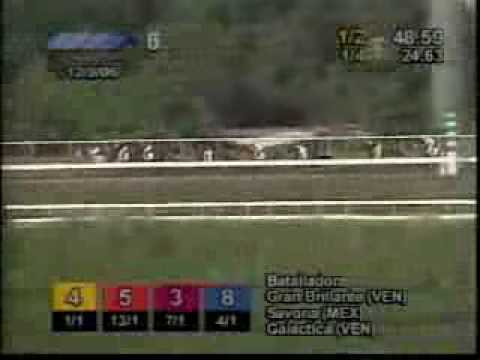 Copa Dama del Caribe 2006