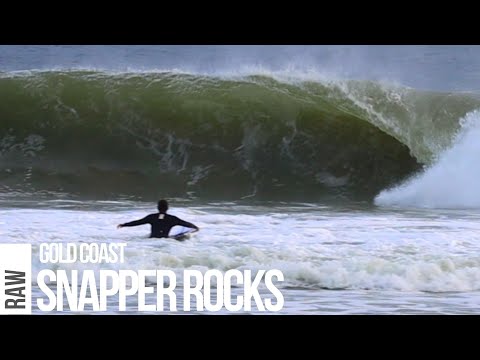 Snapper’s Heavy Take-off Does its Best Skeletion Bay Impression