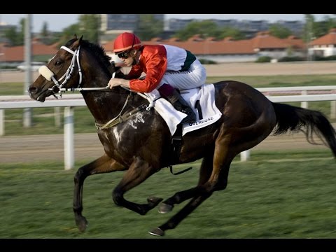 Várja a fiatalokat a Kincsem Park!