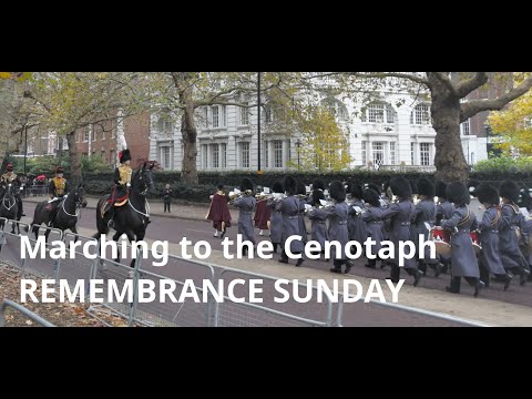 Remembrance Sunday: all bands marching to & from the Cenotaph + some frisky horses in Birdcage Walk