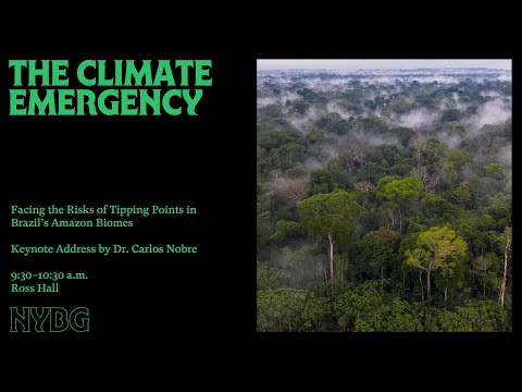 The Climate Emergency: Facing the Risks of Tipping Points in Brazil's Amazon Biome