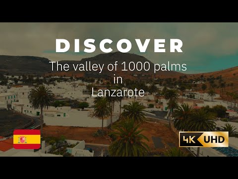 Discover the valley of 1000 palms in Lanzarote (Spain) // Trip // Excursion
