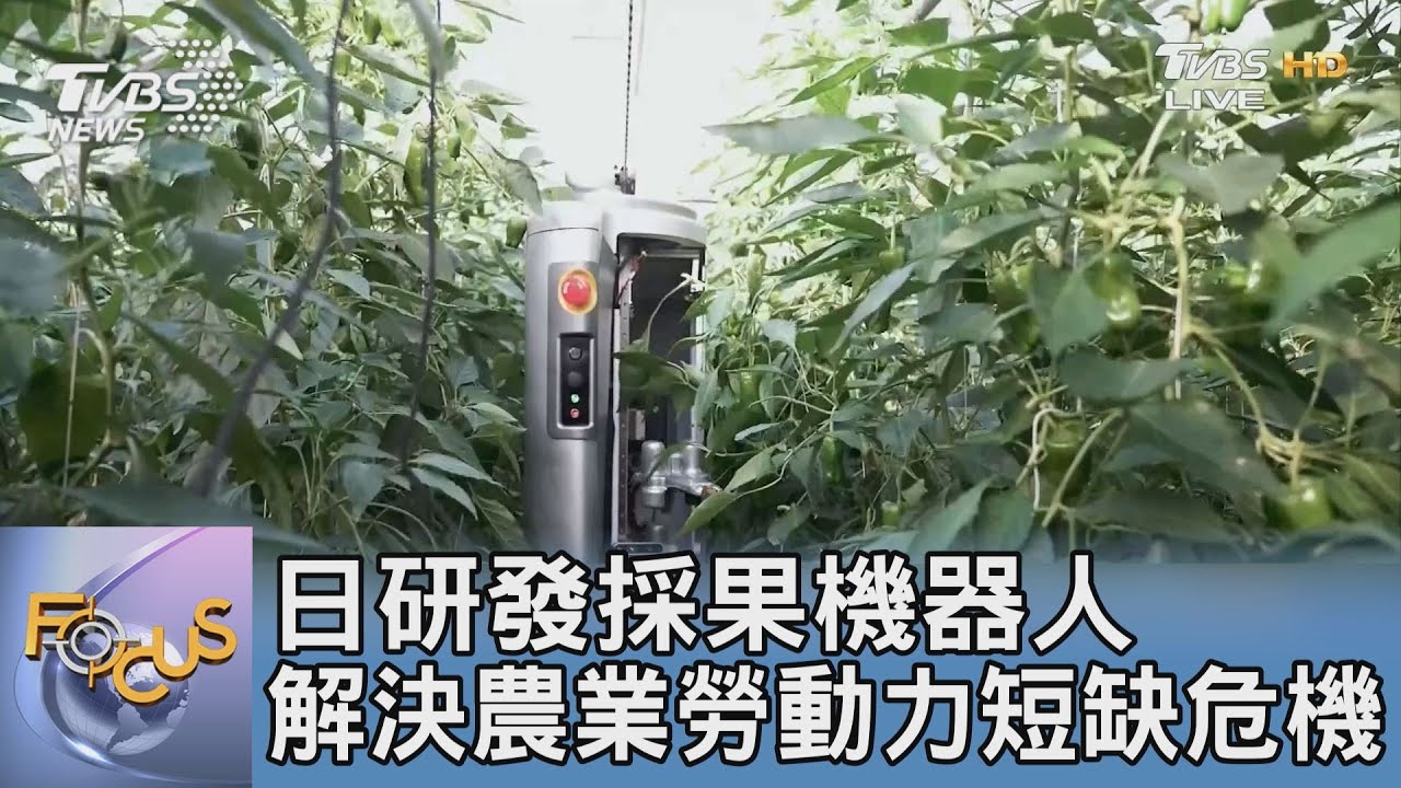 日研發採果機器人 解決農業勞動力短缺危機