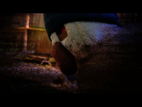 The Sonic Plush Show S2 Ep.18 - Down To The Bone