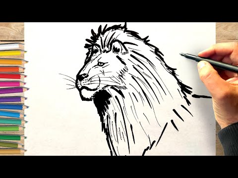 Comment dessiner une tete de lion Dessin facile tete de lion