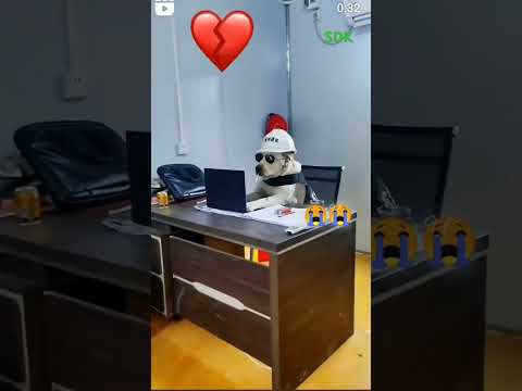 Wow Kya jomana agaya meray dos #best #video #viralvideo #reels #shorts #video #funny