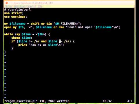 Beginner Perl Maven tutorial: 8.16 - solution regexes 3