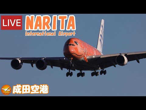 🔴EN VIVO en el aeropuerto internacional de NARITA Observación de aviones　2023.12.03　Cámara en vivo del aeropuerto de Narita Aeropuerto de Narita　NRT/RJAA