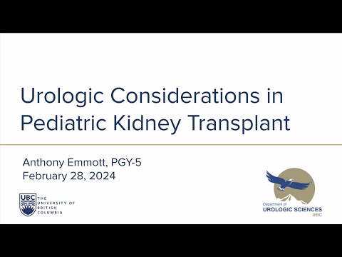 Urologic Considerations in Pediatric Kidney Transplant