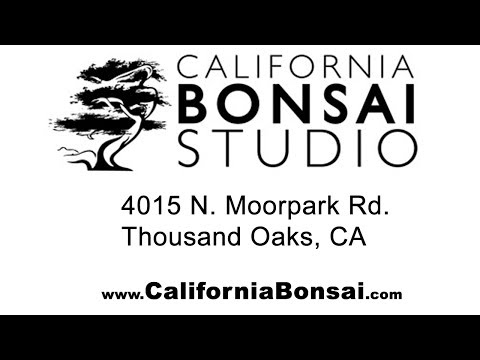 California Bonsai Studio, June '18 Material
