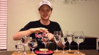 Dan and Leland's 'Fly' performed on wine glasses