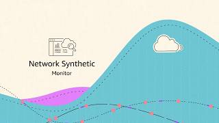 Amazon Network Synthetic Monitoring | Amazon Web Services