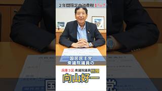 2年間限定の消費税減税1％？ #国民民主党 #兵庫3区