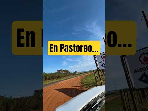 🌎 En Pastoreo - Juan Manuel Frutos | Caaguazú | Terrenos para construcción con financiamiento |