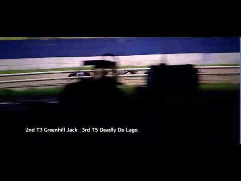 Roxholme kristofs track record breaking run at Perry Barr on 12/11/20 in 42.84