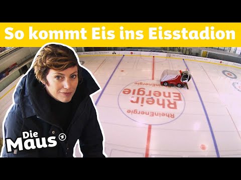 Wie kommt das Eis ins Eisstadion? | DieMaus | WDR