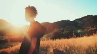 Willow - F Q-C #7