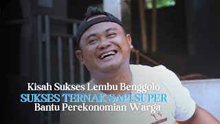 Download lagu Sukses Ternak Sapi Untuk Membantu Perekonomian Warga Masyarakat Sekitar | Lembu Benggolo Farm mp3