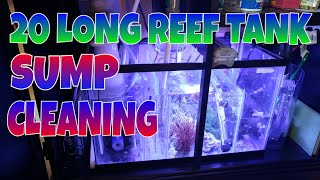 How to setup a 20 gallon long reef tank, SUMP cleaning