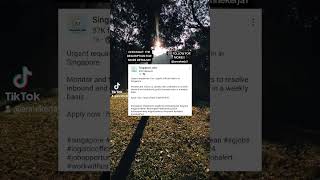 Download lagu check out this LinkedIn profile for more info: 🌸 Singapore Jobs. mp3 Download lagu check out this LinkedIn profile for more info: 🌸 Singapore Jobs. mp3